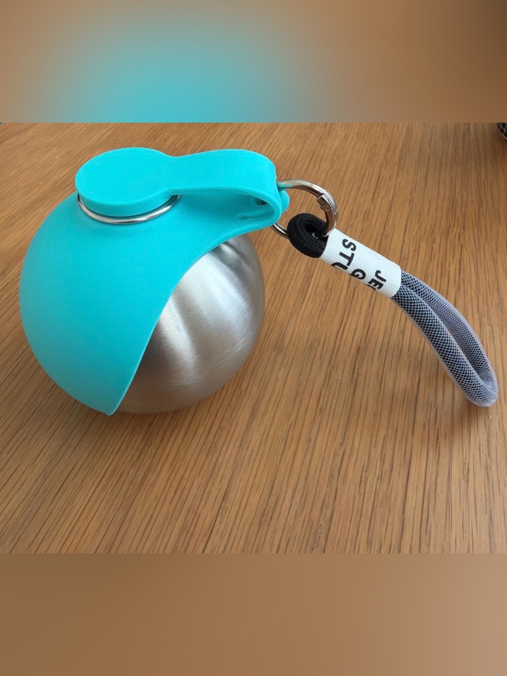 Portable Stainless Steel Cat and Dog Water Bottle